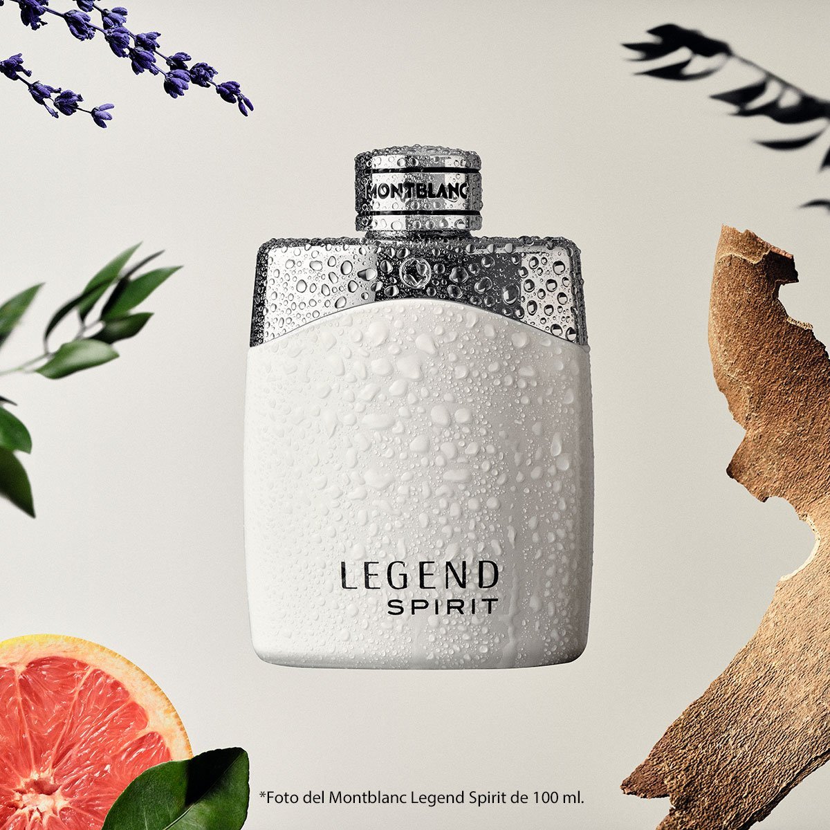 Legend Spirit